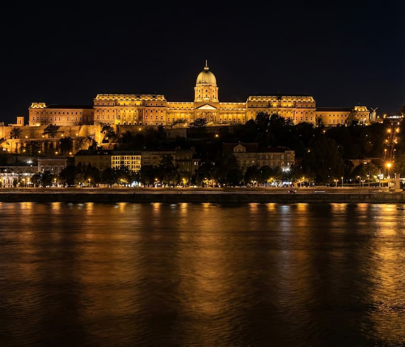 buda castle danube river cruise
