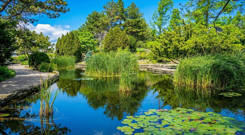 The Japanese Garden Margitsziget