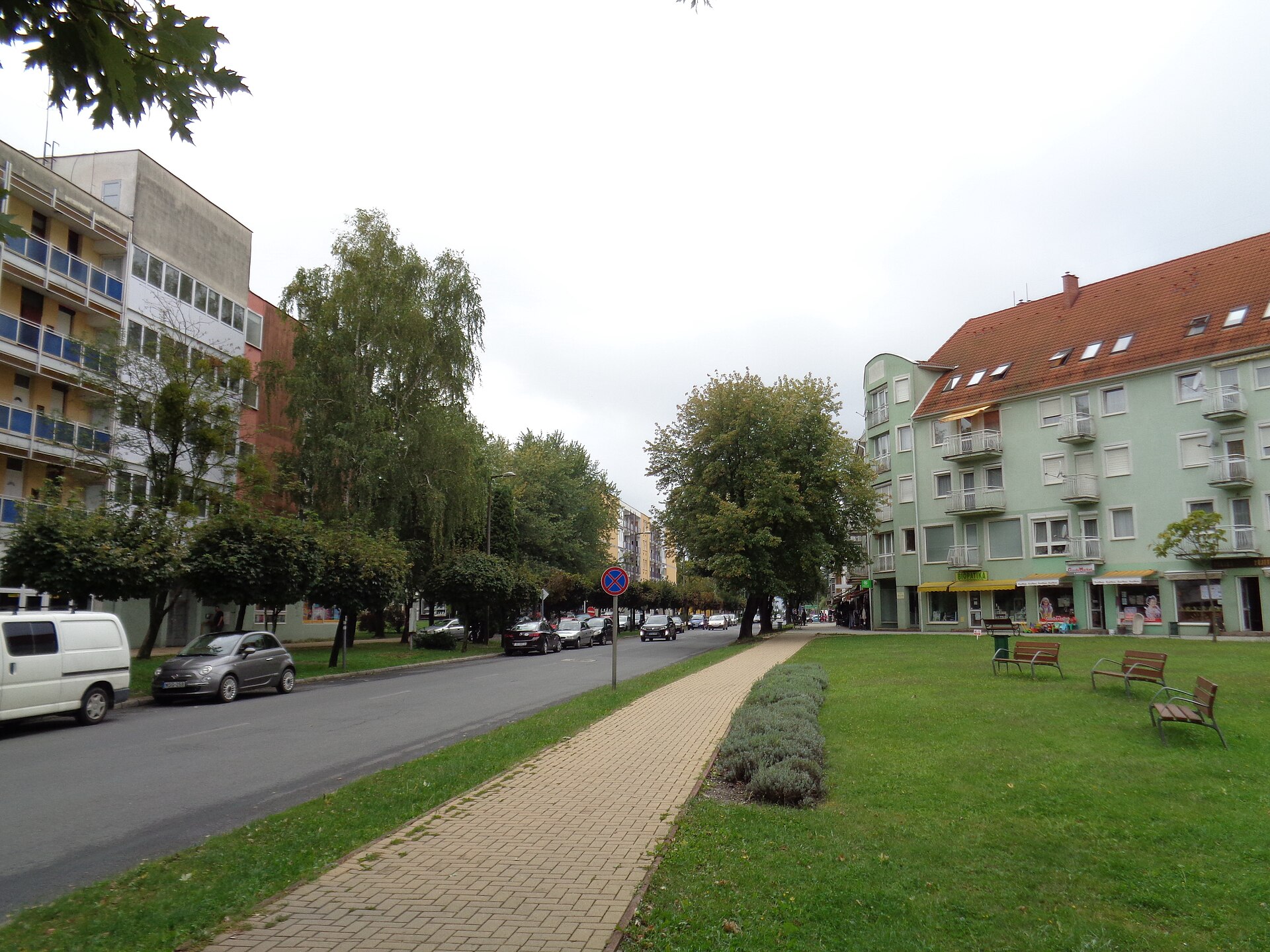 Tree-lined main street with apartment blocks, shops and park benches in the town centre of Lenti