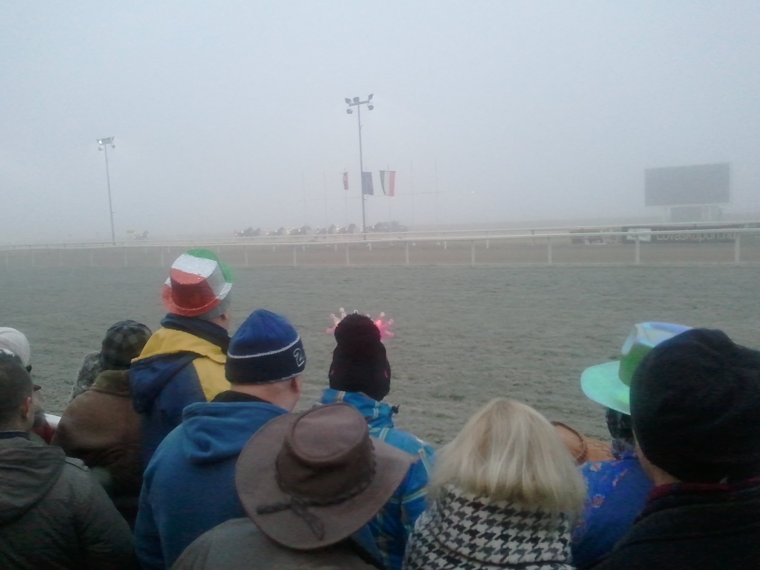 Horses and sulkies racing in heavy fog at the Ügetőszilveszter New Year’s Eve meeting at Kincsem Park