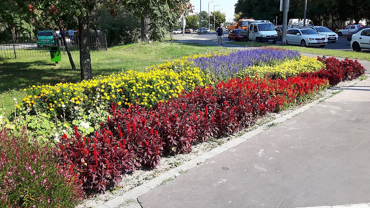 Bunte öffentliche Blumenrabatte an einer Straße im Zentrum von Csepel, XXI. Bezirk