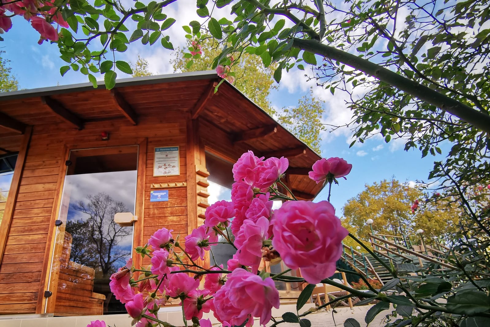 Wooden sauna building among flowering shrubs in the Castello Sauna Park