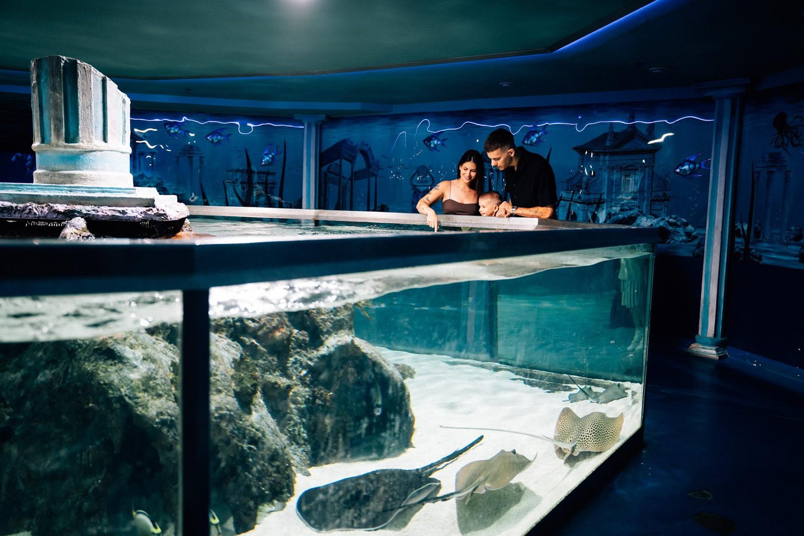 A woman reaching into the open-top ray pool at the Tropicarium while a man and a toddler lean over the edge, several rays on the sandy bottom below