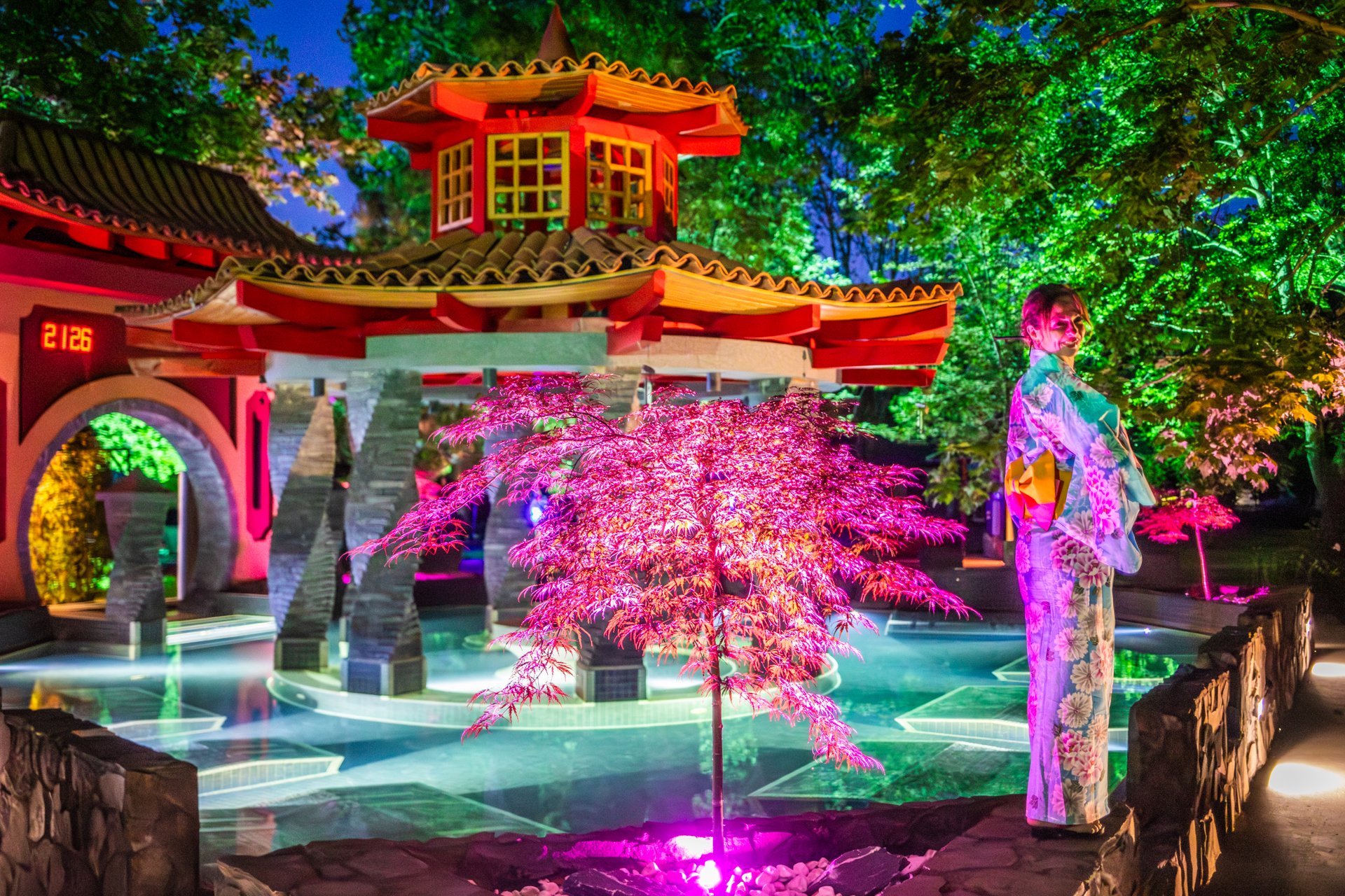 The Onsen pool at Aqualand Ráckeve, a Japanese-garden-style courtyard with a red pagoda and spotlit maple over the water
