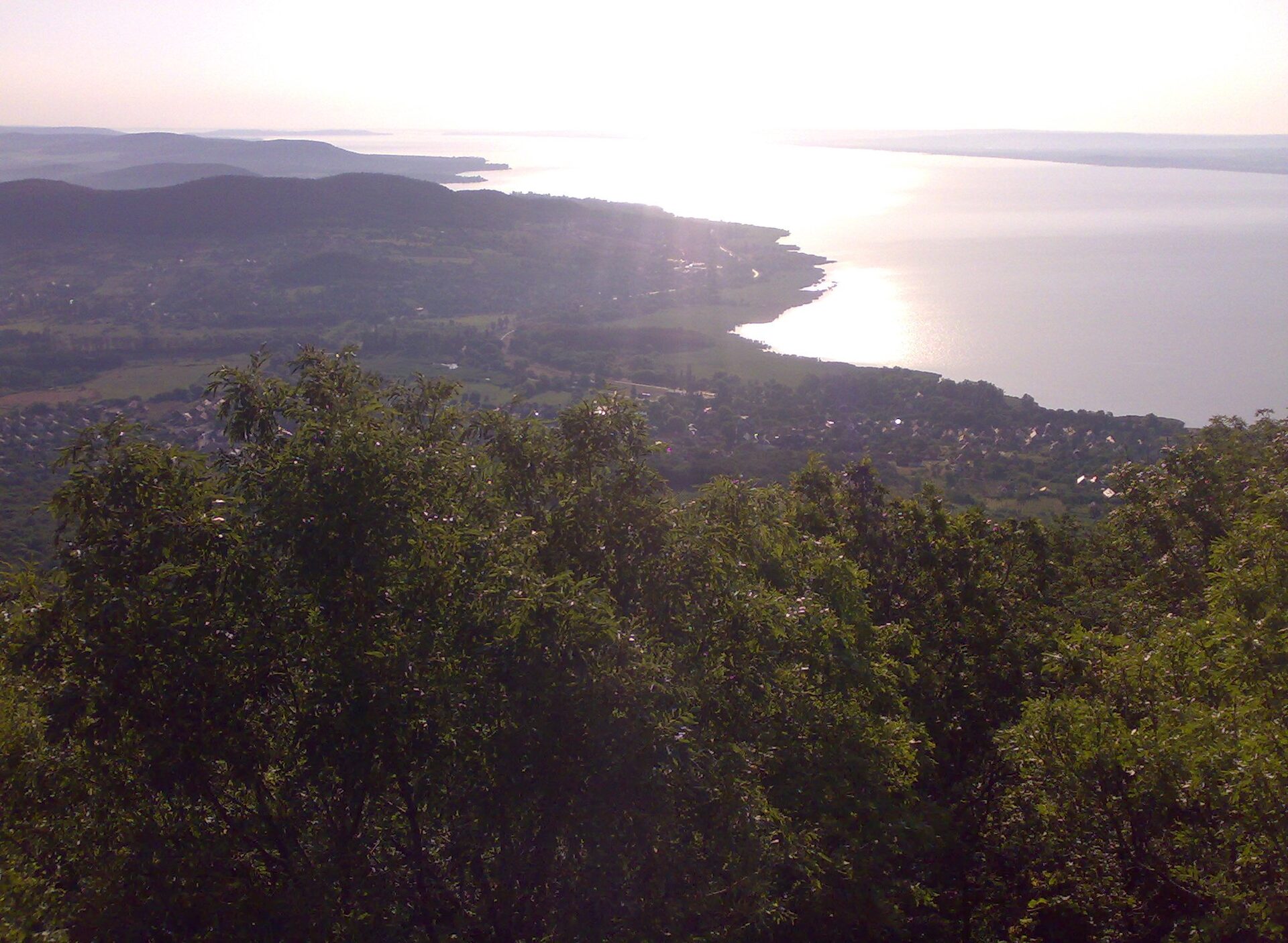 View from high on Badacsony over green treetops to the north shore of Lake Balaton, with villages, fields and wooded hills along the water
