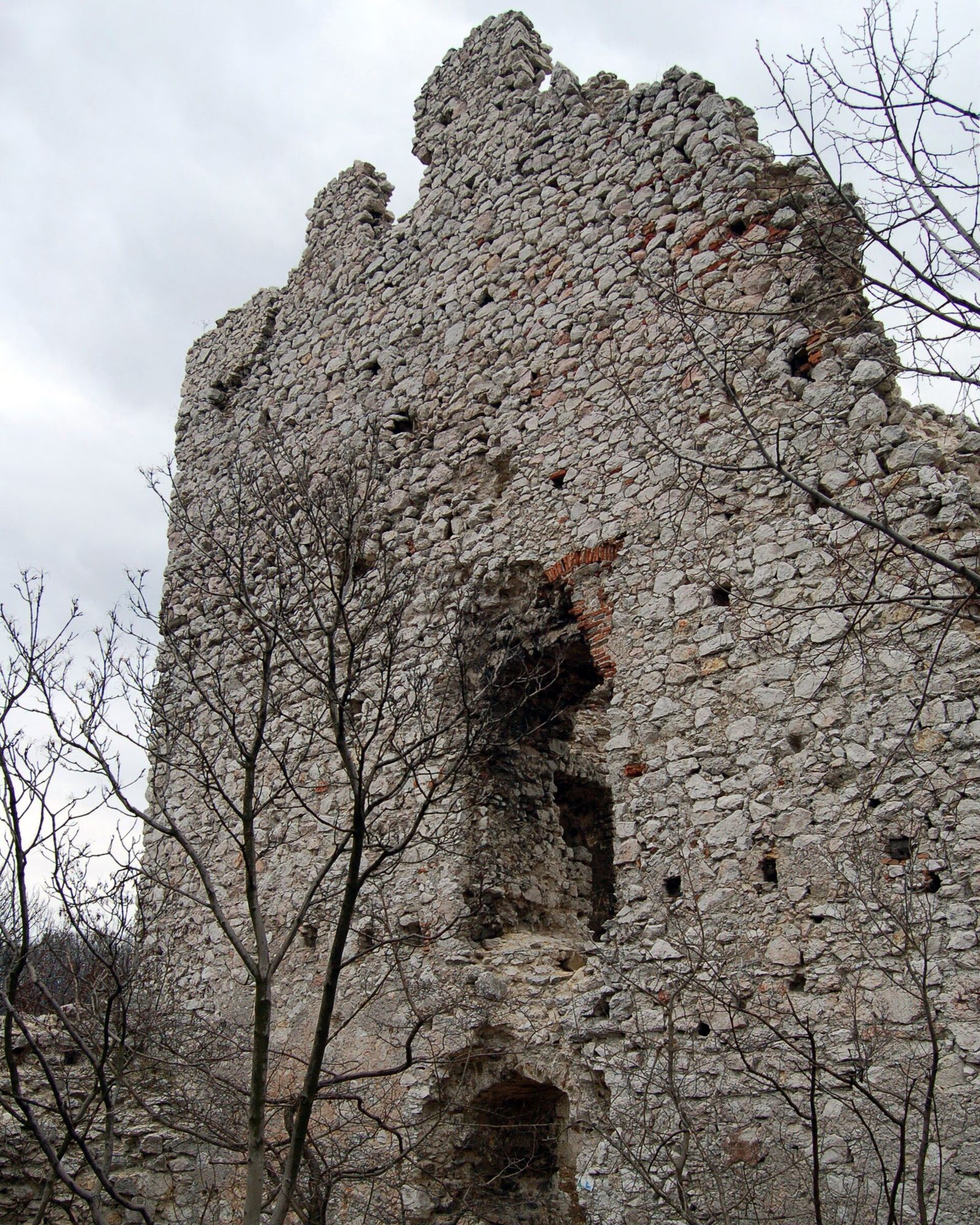A tall ruined stone tower with empty window openings rising behind bare winter trees in the Vértes forest