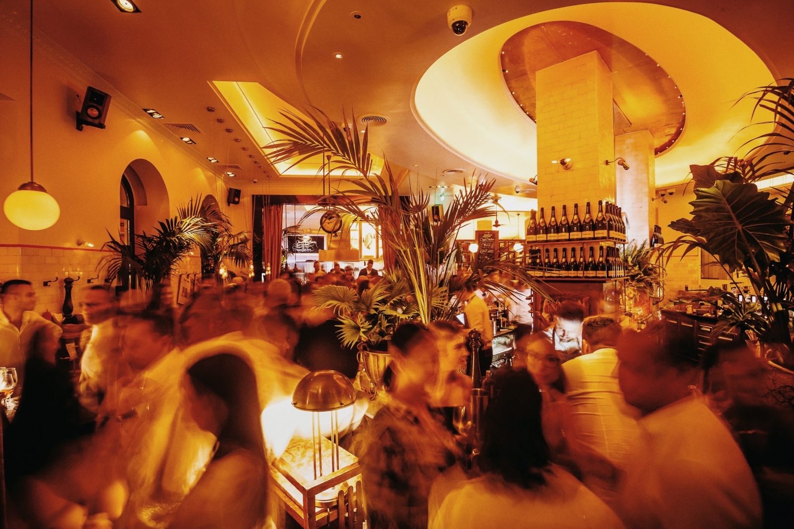 Déryné’s dining room in the evening, full of guests, with warm lights, palms and wine bottles above the bar