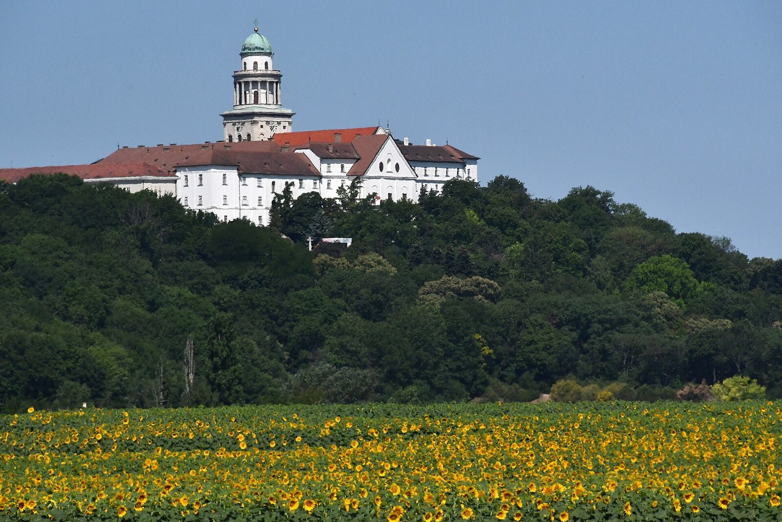 The Pannonhalma Archabbey on its wooded hill, with the white tower and red roofs above the trees