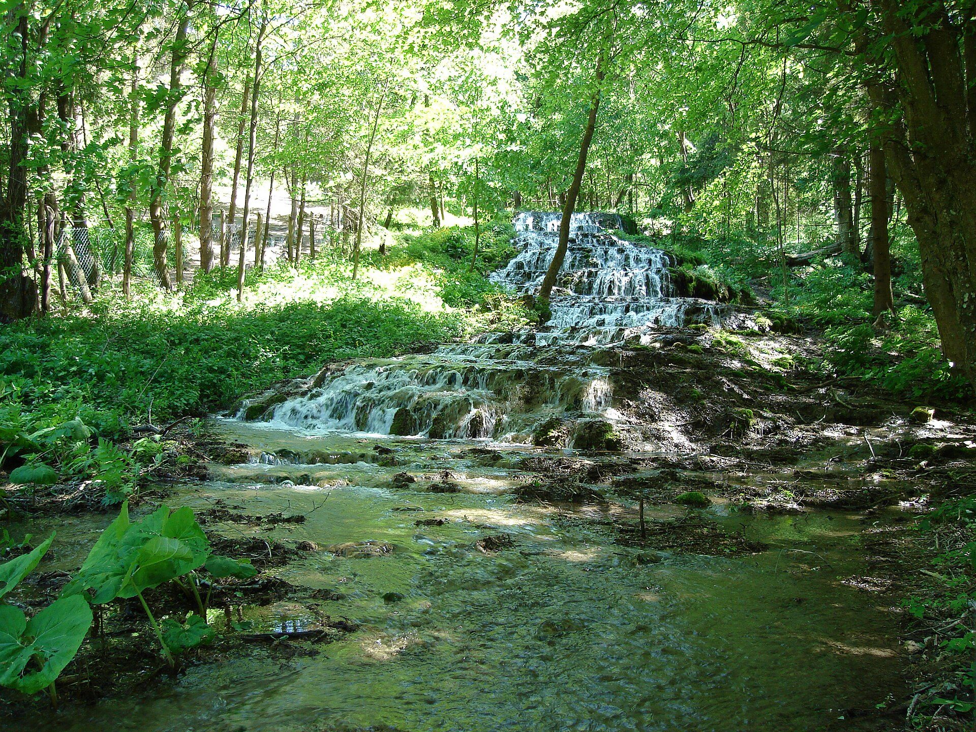 The Veil Waterfall in the Szalajka Valley, water spilling down a staircase of mossy limestone terraces under beech trees