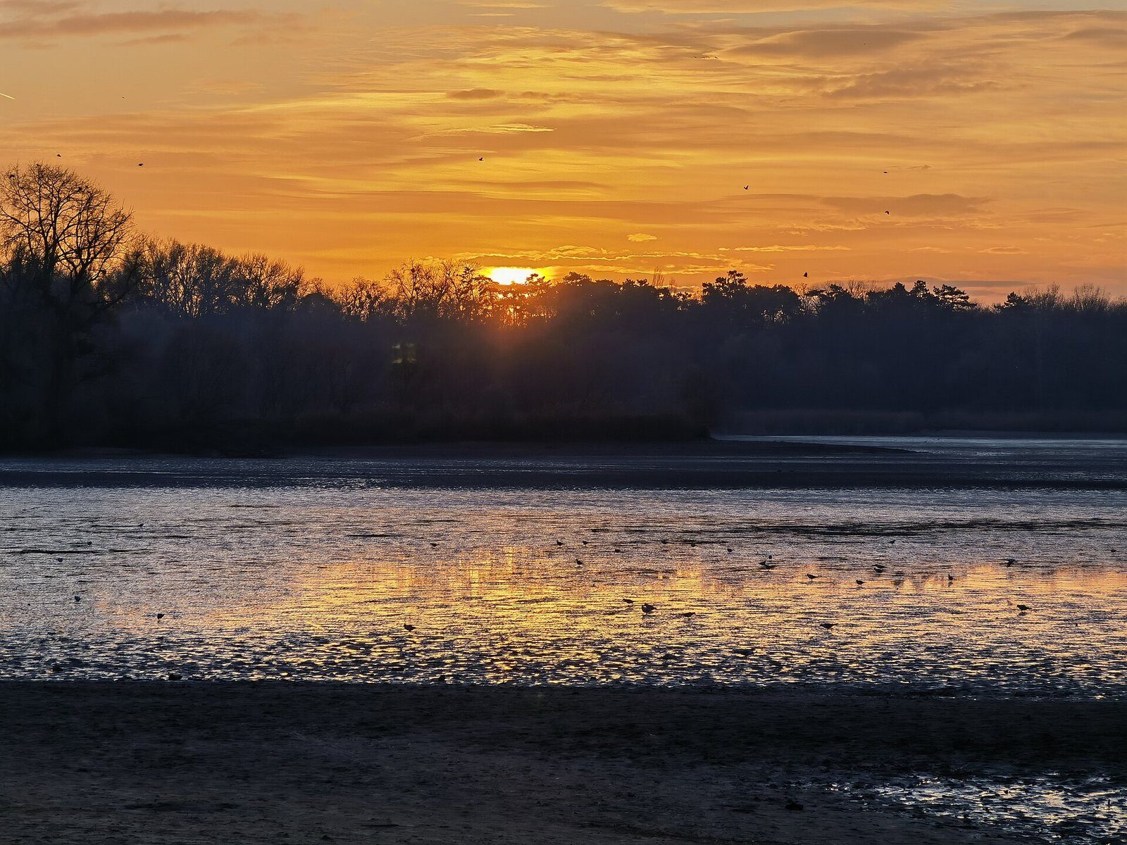 Sunset over the Old Lake in Tata in late November, with the lake drained to wet mud flats, birds standing in the shallows and silhouetted trees on the far shore