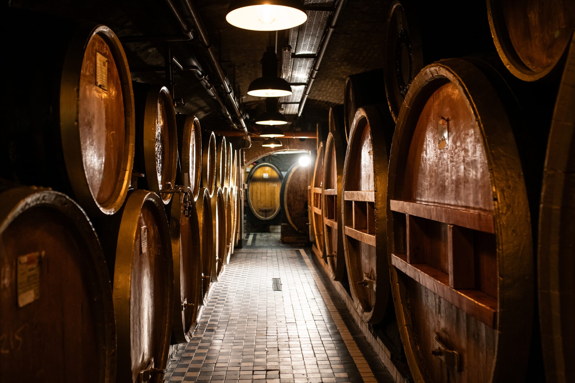 A tiled walkway between rows of large oak casks in the Unicum House cellar, lit by hanging lamps