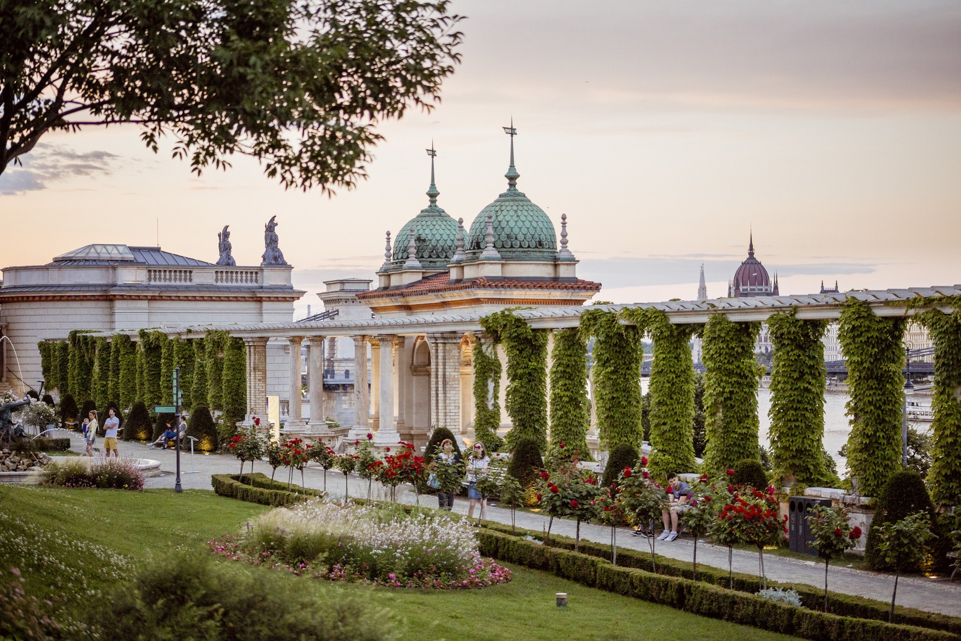 The Várkert Bazár garden at dusk, with rose beds, clipped hedges, ivy-covered pergola columns and the domed pavilions, and the Parliament dome in the distance across the Danube