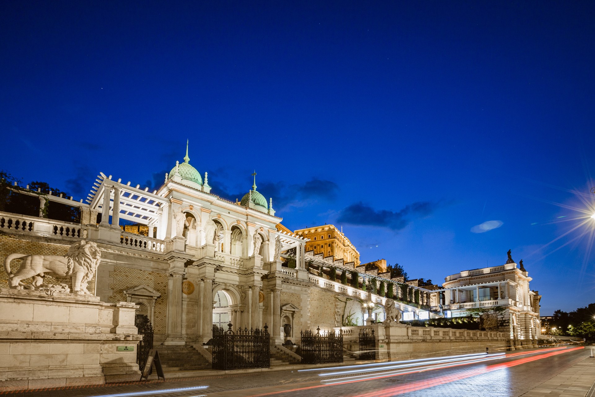 Várkert Bazár lit up at night under a deep blue sky, with a stone lion at the foot of the terraces and car light trails on the road in front