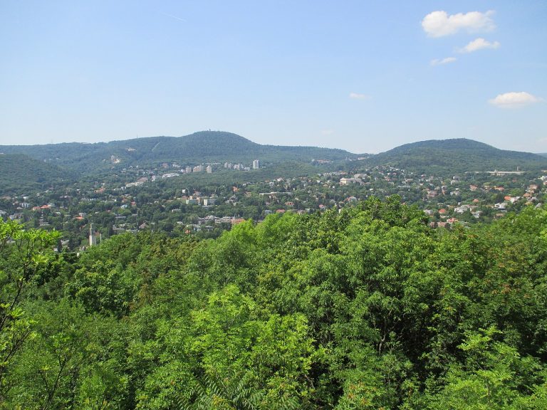 Buda Hills
